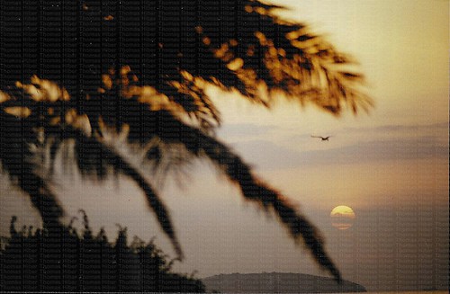 scan0063