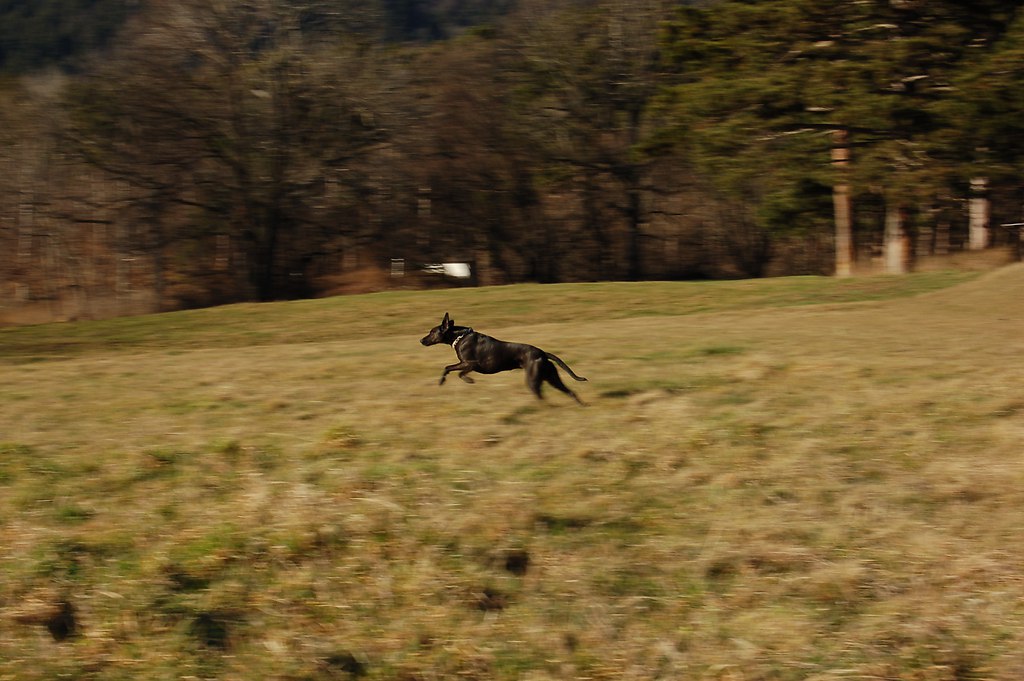 DSC_0044