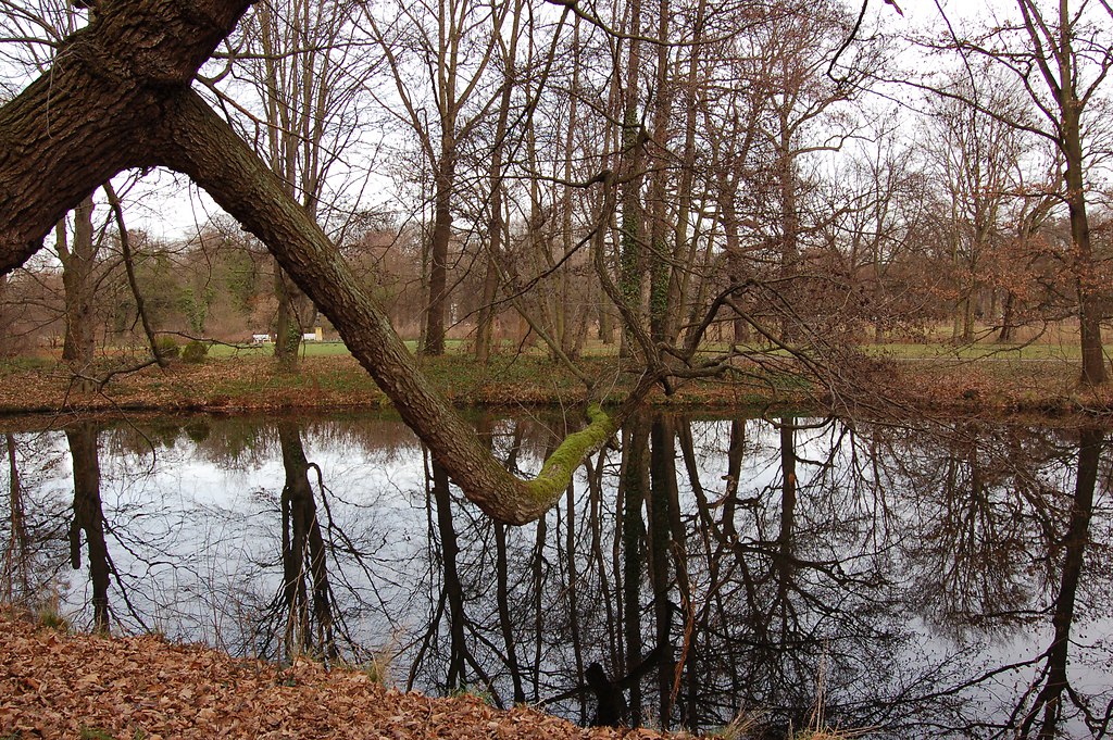 DSC_0041