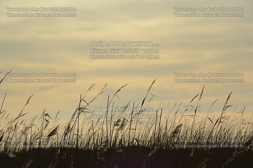 An der Nordsee