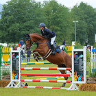 Sp_Fr_16 Springpferde A*
