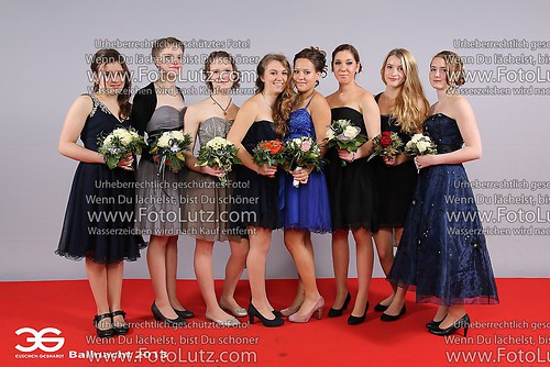 2013_Ballnacht_Dez_2853