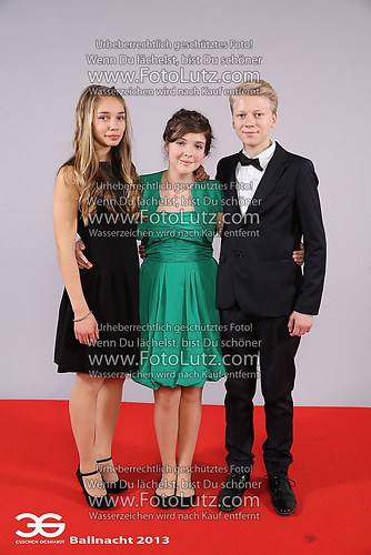 2013_Ballnacht_Dez_2880